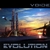 VOIDE: Evolution