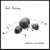 VOID'S ANATOMY: Shades Of A Vast Moment