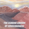 KIM VOIGT/RUTH BELAND: The Echoing Canyon of Consciousness