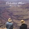 VOLUNTEER MUSE: Melancholy High