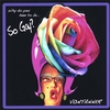VONTANNER: So Gay