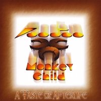 Voodoo Monkey Child : A Taste of Afterlife