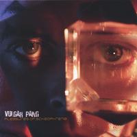 Vulgar Pang : Pleasures of Schizophrenia