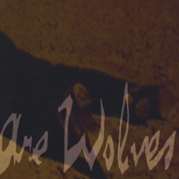 Vultures are Wolves : Vultures are Wolves