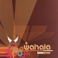 Wahala : Homegrown