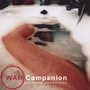 WAH COMPANION: Anomalie Domestiche