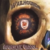 THE WAILHOUNDS: Psychedelic Groovy