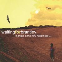 Waiting For Brantley : If anger is the new happiness...