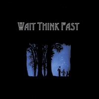 Wait Think Fast : Wait Think Fast