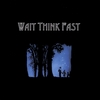 WAIT THINK FAST: Wait Think Fast