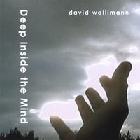 David Wallimann : Deep inside the mind