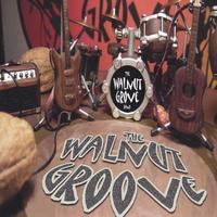 Walnut Grove Band : The Walnut Groove