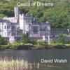 DAVID MICHAEL WALSH: Castle Of Dreams