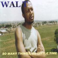 Wal T : So Many Things, So Little Time