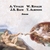 :WALTER RINALDI / RANFALDI / L'ANELLO MUSICALE: Vivaldi - Walter Rinaldi - Bach - Albinoni: Endless (Concertos and Works for String Orchestra)