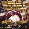 WALT PROCANYN ORCHESTRA: BIG BAND POLKAS NEW YORK CITY