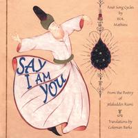 W. A. Mathieu : Say I Am You