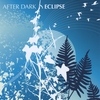 WASHINGTON UNIVERSITY AFTER DARK: Eclipse