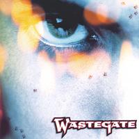 Wastegate : Take A Closer Look