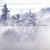 VARIOUS ARTISTS: Waterbug Anthology 8 - Born Into the Whisper