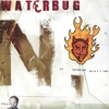 WATERBUG: In Between Beast and Freak