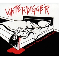 WATERDIGGER: Welcome to Seminole Heights