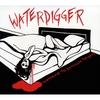 WATERDIGGER: Welcome to Seminole Heights