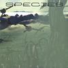 WAVE WORLD: Species