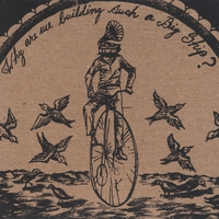 Why Are We Building Such a Big Ship? : S/t