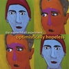 THE WAYNE FISHELL EXPERIMENT: optimistically hopeless