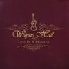 WAYNE HALL: Lost In A Moment
