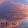 WILD BLUES YONDER: Elsewhere Skies