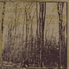 WILLIAM CARPENTER'S FAMILY TROUBADOUR: A Private Tape