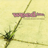 WEED INC.: Trampled, Beaten and Obeyed