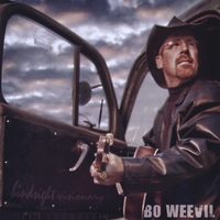 Bo Weevil : Hindsight Visionary