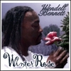 WENDELL BENNETT: Winter Rose
