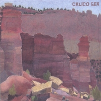 Wendy Ohlwiler : Calico Sea