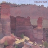 WENDY OHLWILER: Calico Sea