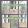 W.G.MERCZEL: Window to my soul