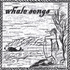 WHALE SONGS: whale songs