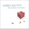 WHERE'S KITTY?: there are beetles in the milkcrate