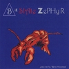 JACINTA WHITCOME: Blue Slate Zephyr