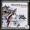 WHITE RHINO: Home Soon