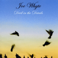 Joe Whyte : Devil in the Details