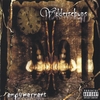 WIDDERSCHYNS: Empowerment