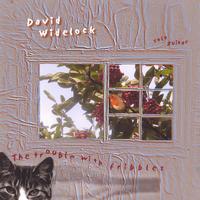 David Widelock : The Trouble With Fribbles