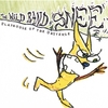 THE WILD BAND OF SNEE: Playhouse of the Universe
