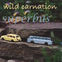 Wild Carnation : Superbus