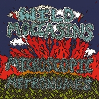 Wild Mocassins, Microscopic Metronomes