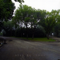 Wilfred N & the Grown Men : Stop Go Romeo